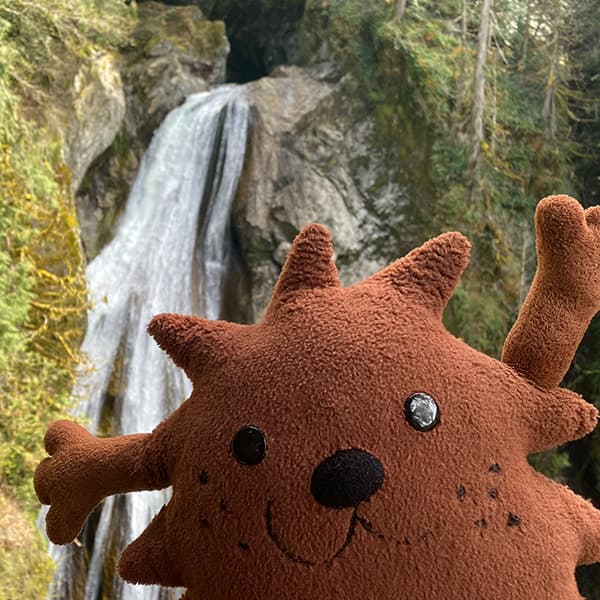 photo of a fuzzy monster plushie in front of a waterfall